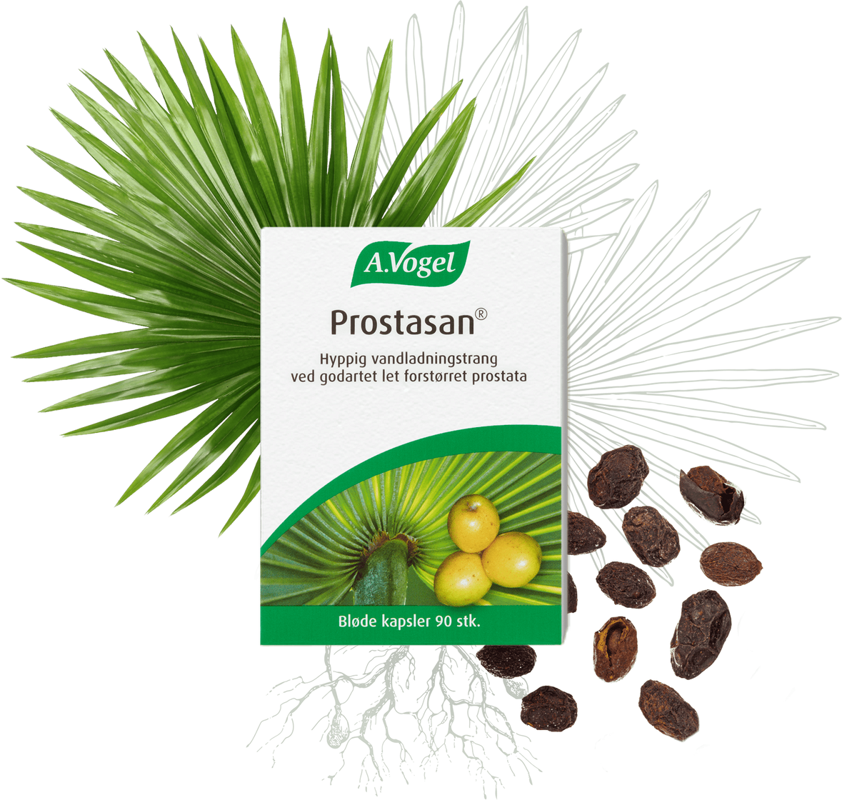 A. Vogel Prostasan 90 kaps.