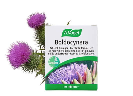 A. Vogel Boldocynara Tabletter 60 tabl.  