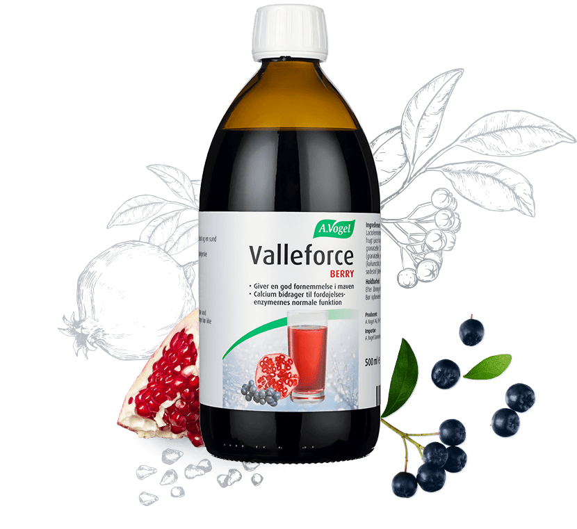 Se A. Vogel Valleforce Berry (500 ml) hos Helsegrossisten.dk