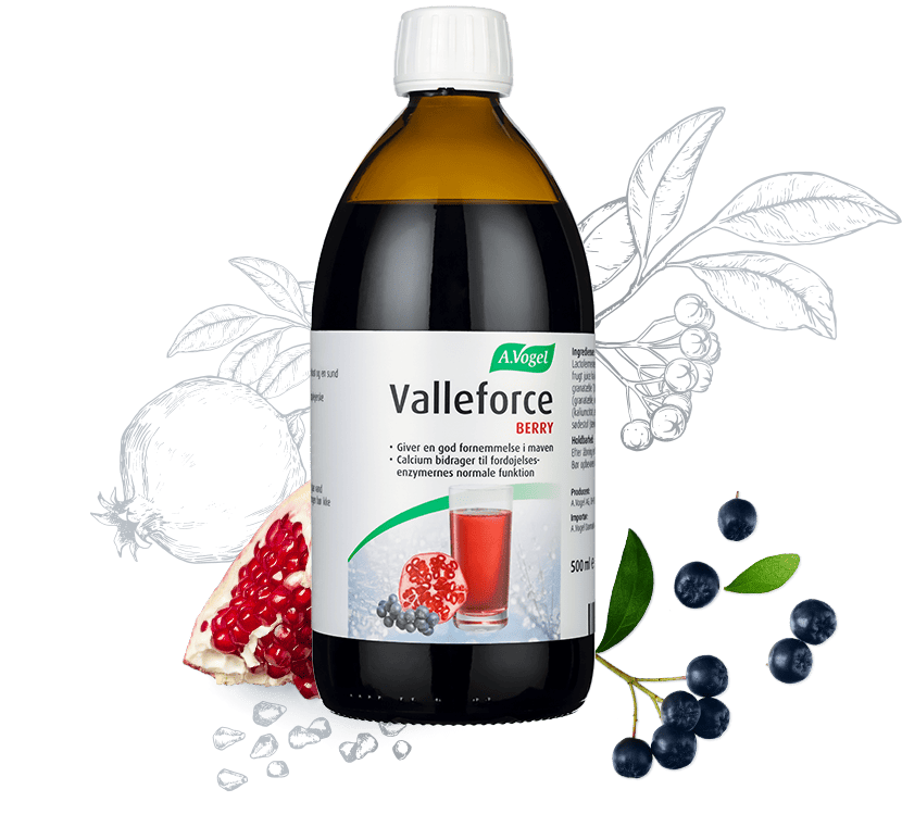 UDSALG Valleforce Original Berry 500 ml. DATOVARE 02 2025 køb billig