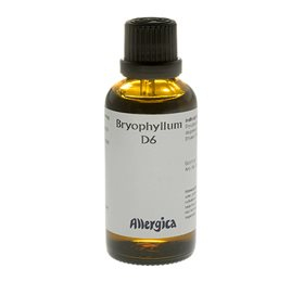Se Bryophyllum D6 (50 ml) hos Helsegrossisten.dk