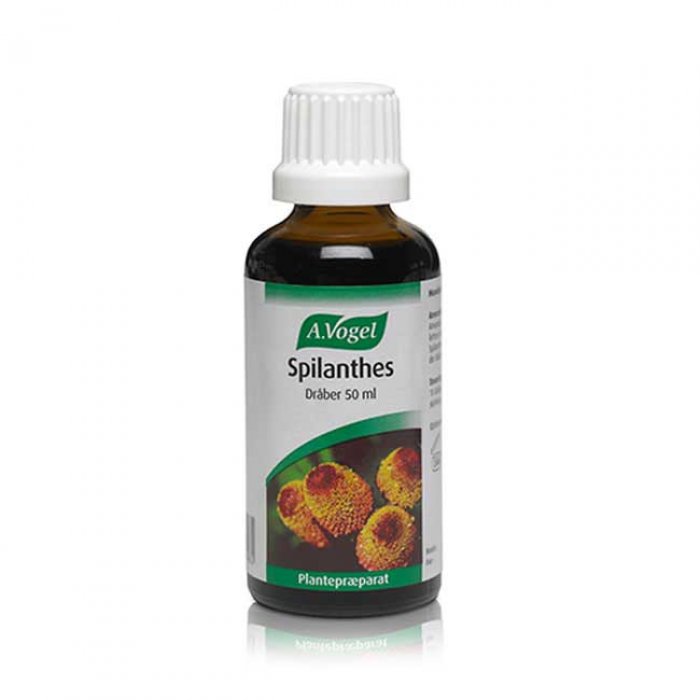 A.Vogel Spilanthes 50ml.