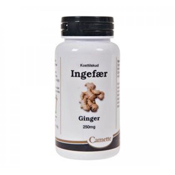 Camette Ingefær 140 tab.