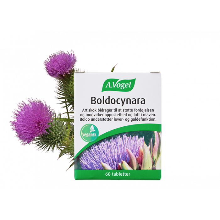 A. Vogel Boldocynara Tabletter 60 tabl.  