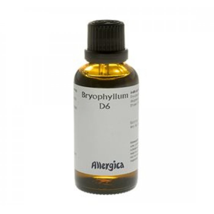 Allergica Bryophyllum D6 • 50ml.