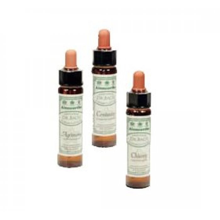 Dr. Bach Ægte kastanie • 10ml X