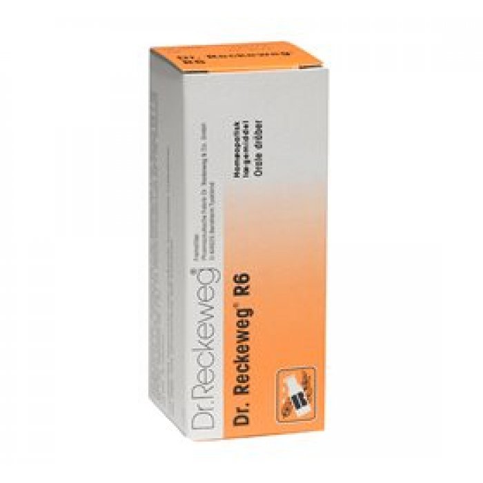 Dr. Reckeweg R 6 • 50 ml.