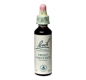 Mezina Bach Ægte Kastanie (Sweet Chestnut) 10ml.   X
