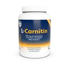 BioSym L-Carnitin • 100 kap. DATOVARE 09/2024