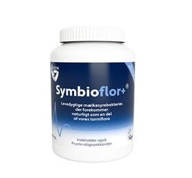 BioSym Symbioflor+ 160 kaps - DATOVARE