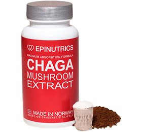 UDSALG Epinutrics EPI Chaga 60 kap. køb billig