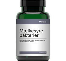 Mezina Mælkesyrebakterier Probiotika 60 kap.