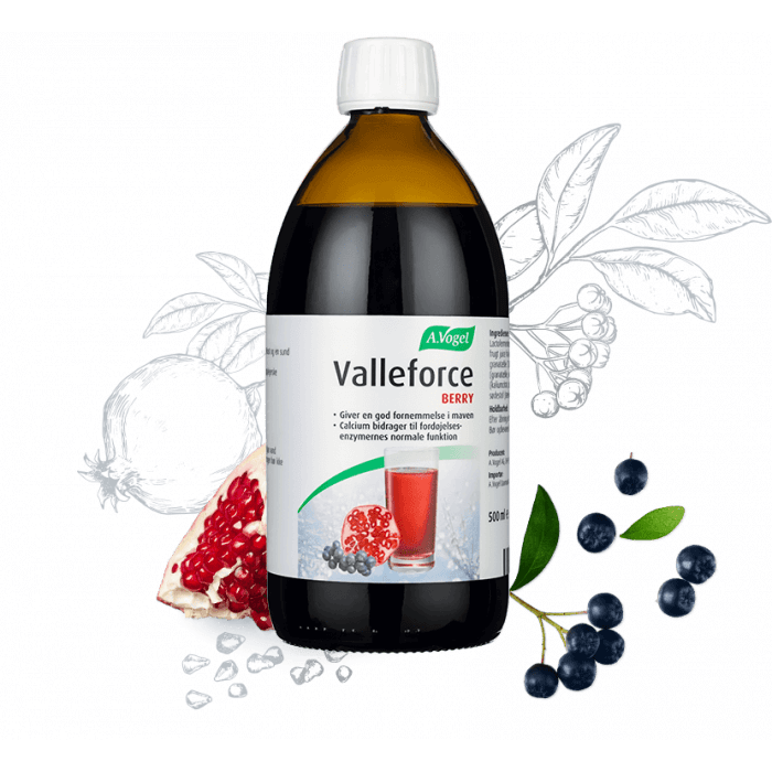 Valleforce Original Berry 500 ml. 