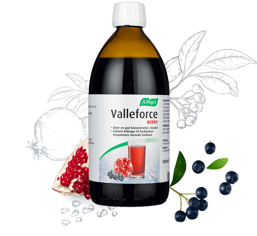 Valleforce Original Berry 500 ml. 