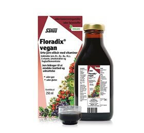 Floradix Vegan 250 ml.