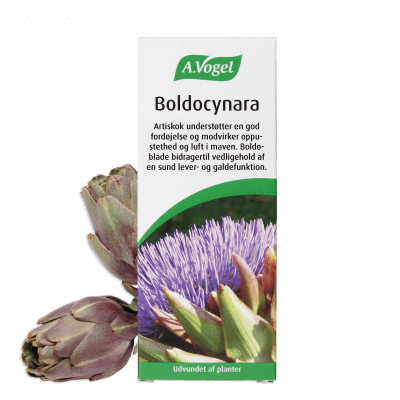 A.Vogel Boldocynara Dråber 50 ml. 