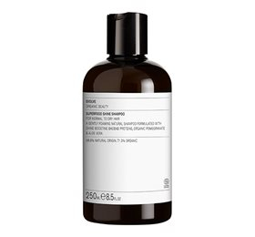 Se Evolve Organic Beauty Superfood Shine Shampoo 250 ml. hos Helsegrossisten.dk